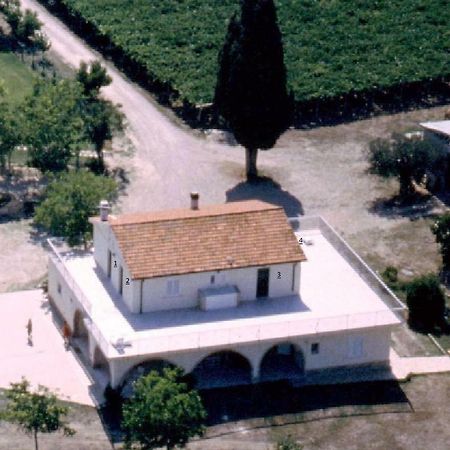Agriturismo Torre Mannella - La Loggia Citta Sant'Angelo Extérieur photo